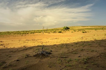 _DSC7163_HZP.jpg