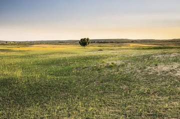 _DSC72841.jpg