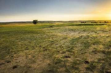 _DSC72871.jpg