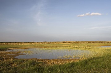“_DSC7408”为智能对象-1.jpg