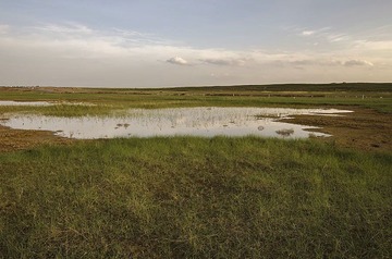 “_DSC7460”为智能对象-10.jpg