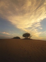 “_DSC7514”为智能对象-19.jpg