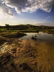 “_DSC7773”为智能对象-12.jpg