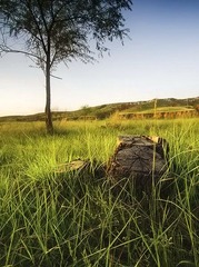 “_DSC7800”为智能对象-11.jpg