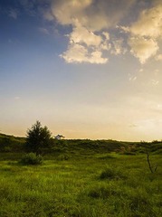 “_DSC7981”为智能对象-12.jpg