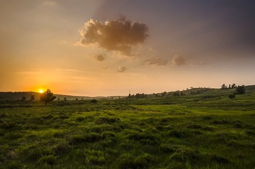 “_DSC7999”为智能对象-11.jpg