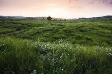 “_DSC8019”为智能对象-11.jpg