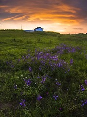 “_DSC8047”为智能对象-11.jpg