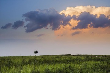 “_DSC8647”为智能对象-1.jpg
