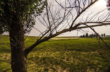 “_DSC8873”为智能对象-1.jpg