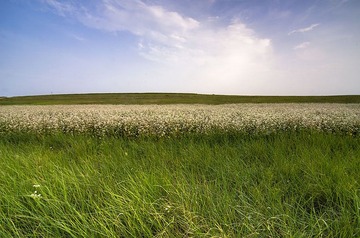 “_DSC8908”为智能对象-10.jpg