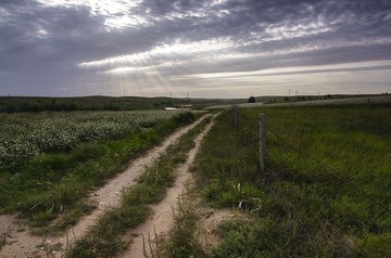 “_DSC8946”为智能对象-1.jpg