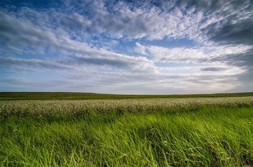 “_DSC8961”为智能对象-1.jpg