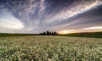 “_DSC9013”为智能对象-1.jpg