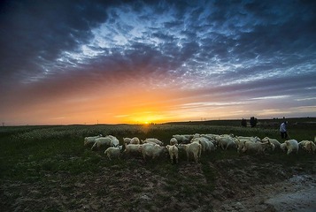 “_DSC9050”为智能对象-1.jpg