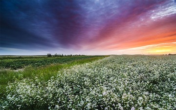 “_DSC9073”为智能对象-1.jpg