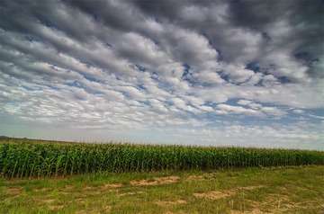 “_DSC9099”为智能对象-1.jpg