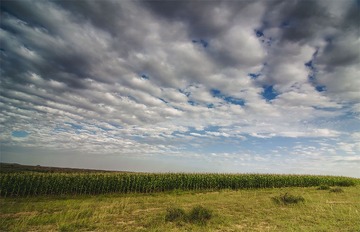 “_DSC9108”为智能对象-1.jpg