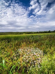 “_DSC9136”为智能对象-1.jpg