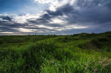 “_DSC9164”为智能对象-1.jpg
