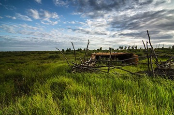 “_DSC9181”为智能对象-1.jpg