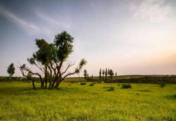 “_DSC9228”为智能对象-1.jpg