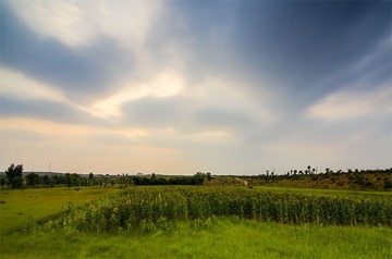 “_DSC9261”为智能对象-1.jpg