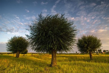 “_DSC9578”为智能对象-1.jpg