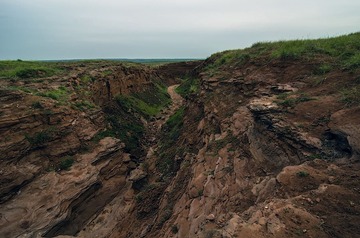 “_DSC0623”为智能对象-1