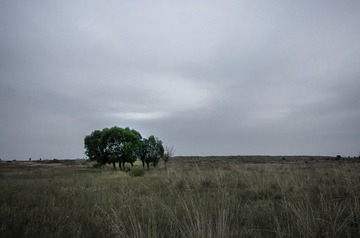 04