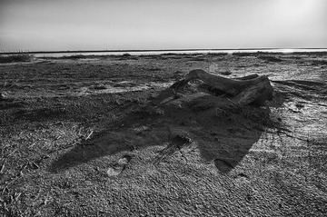 “DSC_1869”为智能对象-1