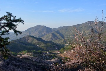 DSC_0225.jpg