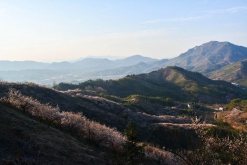 DSC_0261.jpg