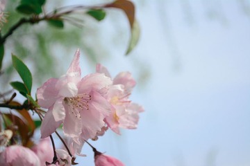 DSC_0055.jpg