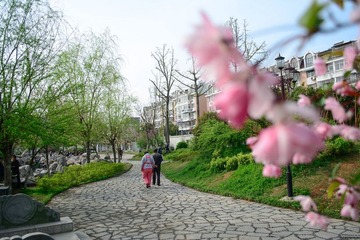 DSC_0065.jpg