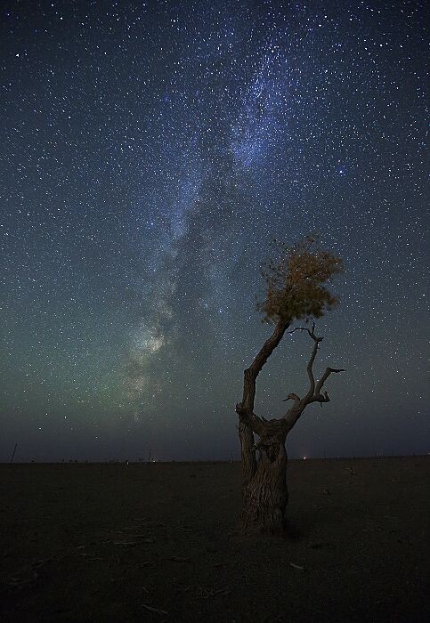 额济纳星空