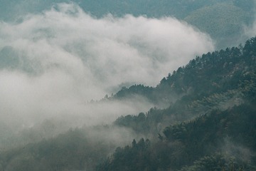 2584871