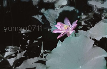 001