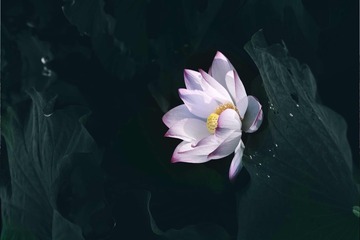 001