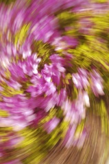 2521