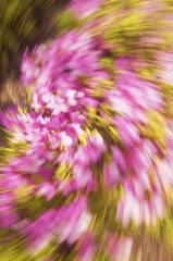 2522