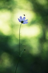 1007219