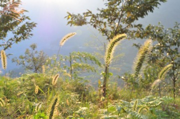寨头后山