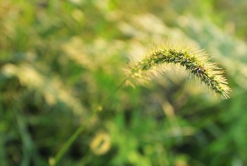 寨头后山2