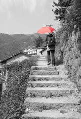 小红伞