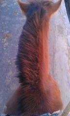 IMAG0352.jpg
