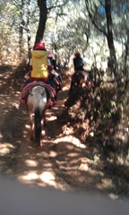 IMAG0353.jpg