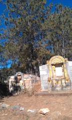 IMAG0354.jpg
