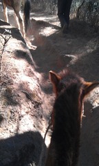 IMAG0356.jpg