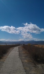 IMAG0361.jpg